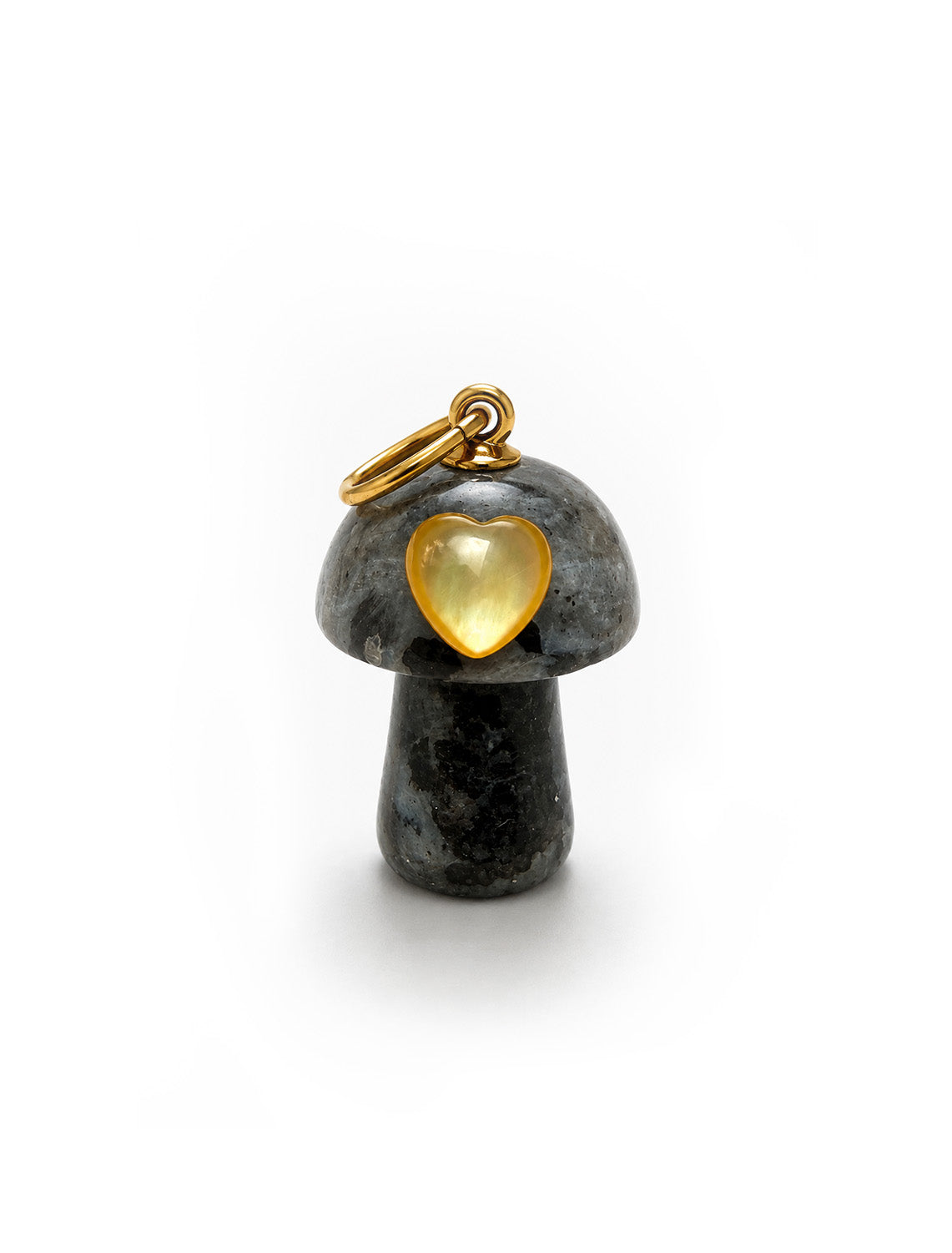 Fungi Charm